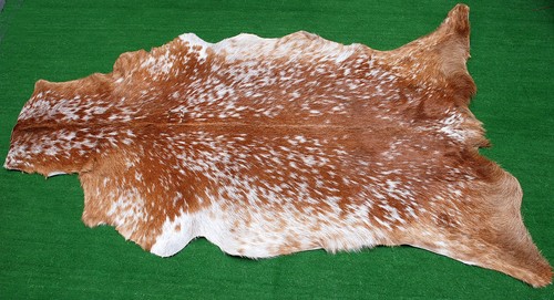 Luxury goat hide - rug, on