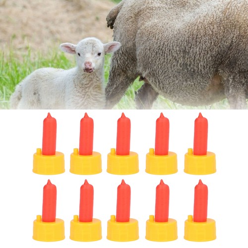 10pcs lamb milk drink - lamb,