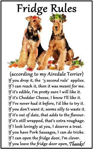 Airedale terrier gift fridge - airedale,