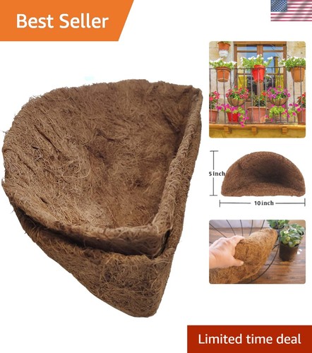 2pcs inch coconut - coconut, fiber