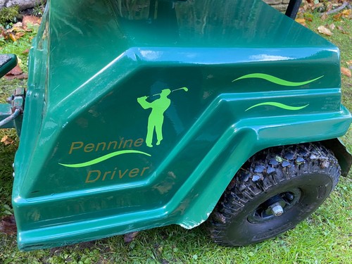 Golf cart electric buggy - cart,
