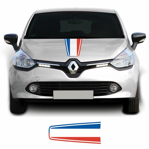 French flag race - flag,