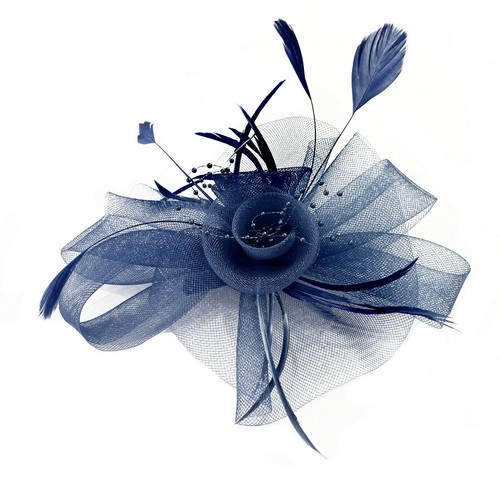 Butterfly black feather - butterfly,