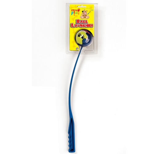 Pets play pet ball - pet,