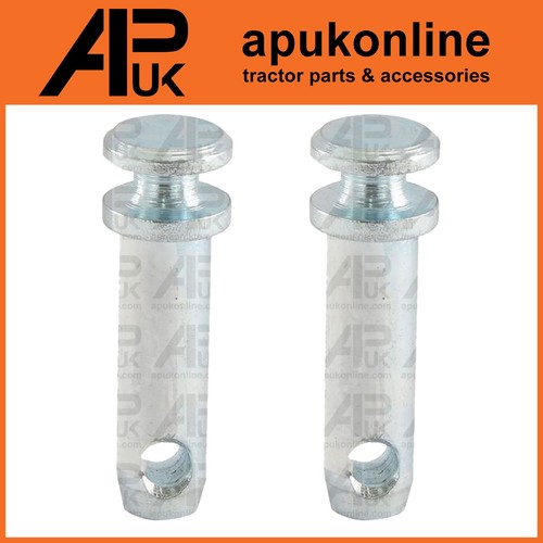 Cat top link - cat,