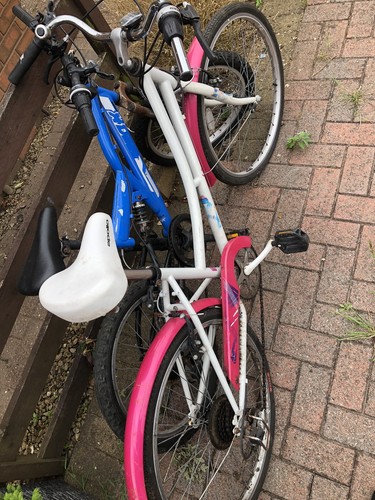 Two bikes each - bikes, £15