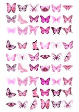 54X BEAUTIFUL BUTTERFLY