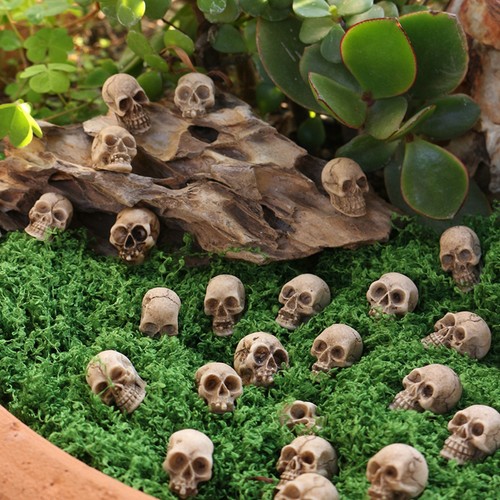 Pcs mini skull figurine - skull,