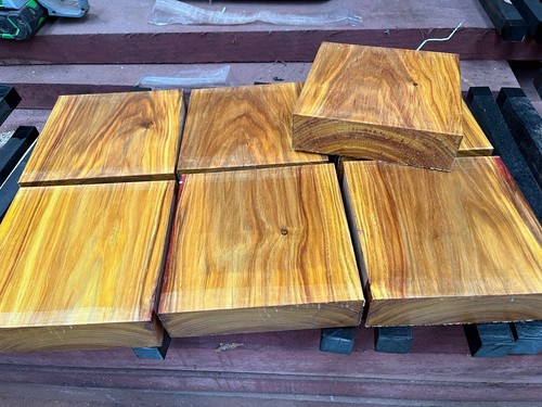 Canarywood 8 x - ,