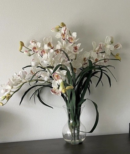 Large cymbidium orchids - 34”h,