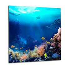 Kitchen Glass Splashback