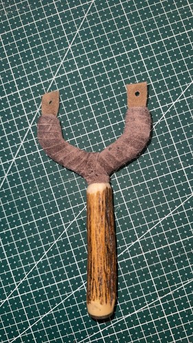 Deer antler bone - deer,