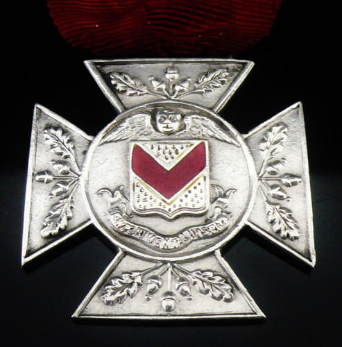 Sterling silver nursing badge - sterling,