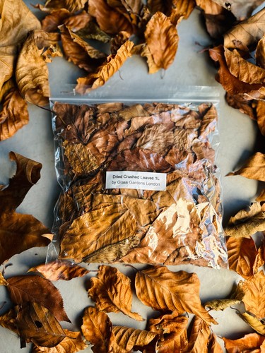 Dried crushed leaves - crushed, |