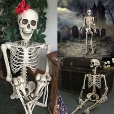 Halloween Poseable Skeleton