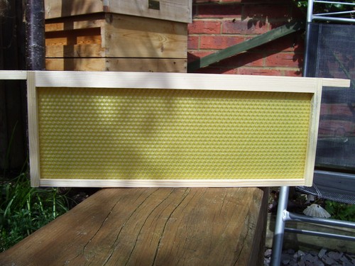Sn1 national wbc frames with - frames,