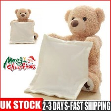 Peek-A-Boo Teddy Bear Plush