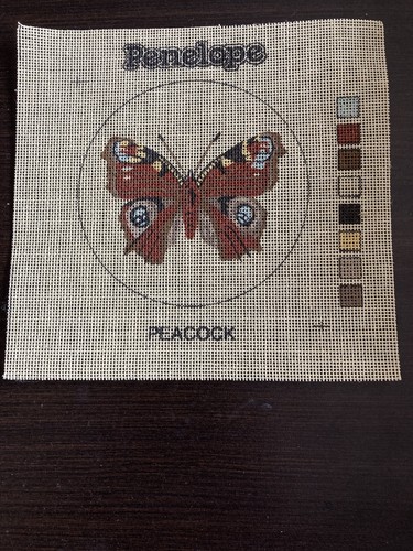 Penelope peacock butterfly - penelope,