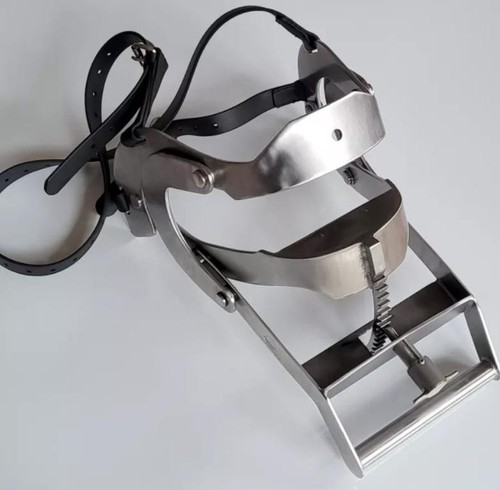 Equine dental millenium - equine,