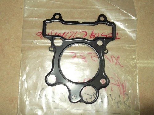 Cylinder base gasket - cylinder,