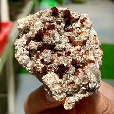 92g Natural Garnet with rock Gorgeous rough raw Crystal Mineral Specimen
