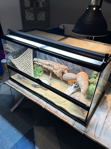 Exo terra pro - terrarium, large