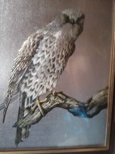 Framed foil art bird - art,