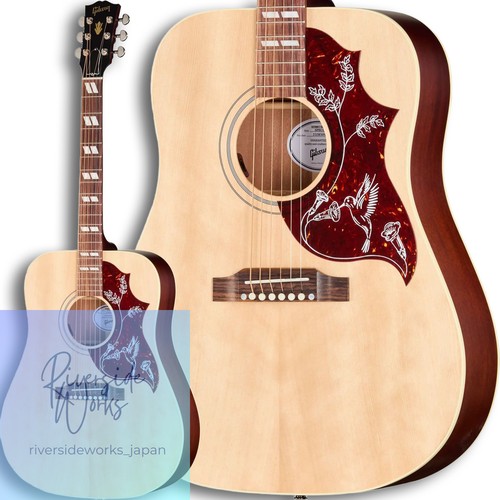 Gibson hummingbird special - gibson,