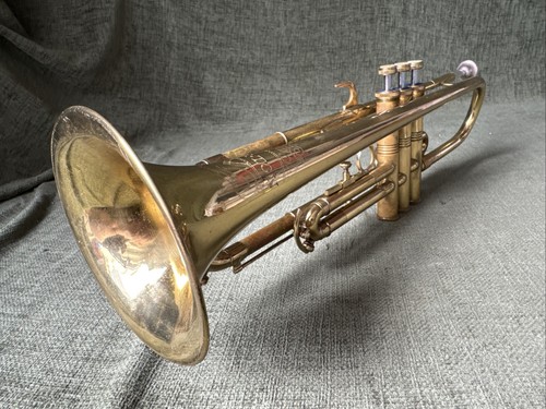 Corton trumpet case - in,