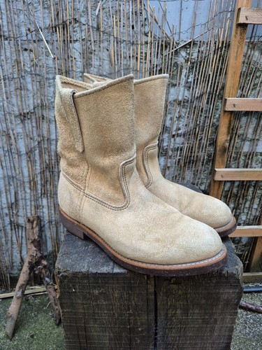 Redwing pecos hawthorn - pecos,