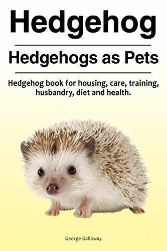 Hedgehog hedgehogs pets - as, pets.