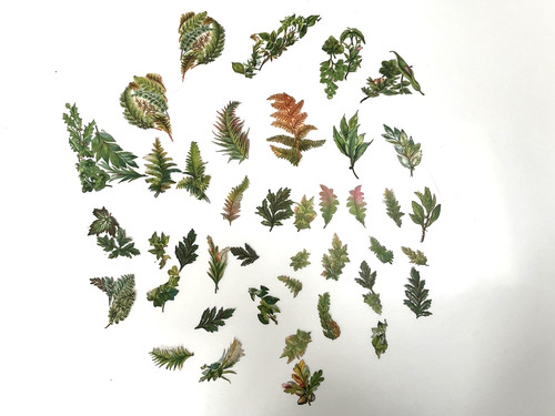 Victorian die cut - victorian, scraps