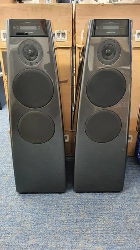 Boxed active meridian dsp5200 - boxed,