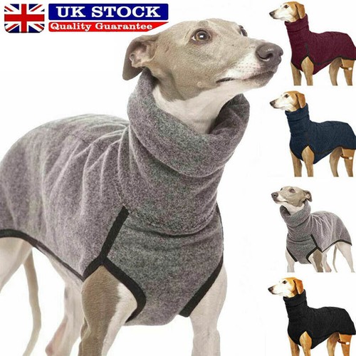Pet dog winter high collar - pet,