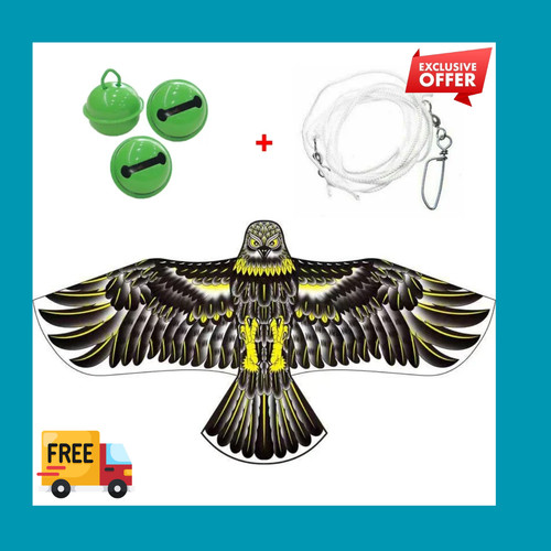 Flying hawk bird scarer kite - flying,