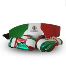 MEXICAN CANELO BOXING SET GLOVES PAD UFC INSPIRED BY GRANT WINNING LEATHER MITTS