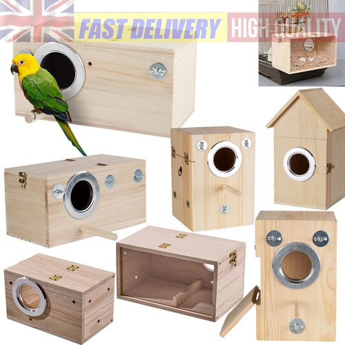 Parrot budgie lovebirds wooden - lovebirds,