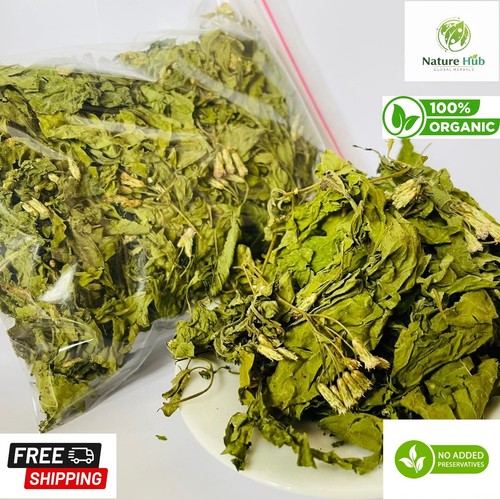 Premium dreid mexican - dreid,