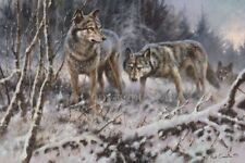 Mick Cawston 'Winters Breath' Wolf Open Edition Print