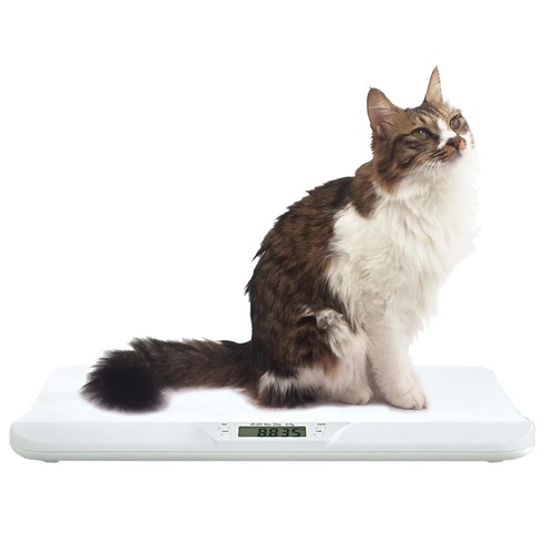 Digital pet scale 30kg - digital,
