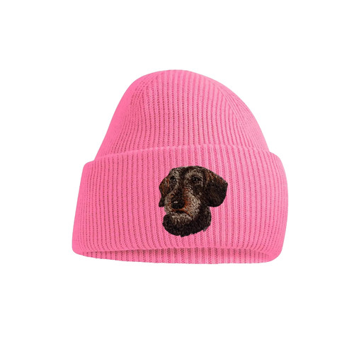 Wire haired dachshund - haired, dog
