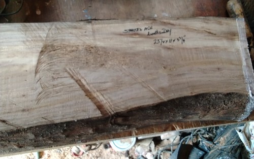 Large spalted ash - ash, bowl