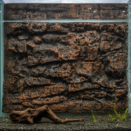 Reptile tank background - tank,