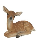 Realistic Fallow Deer Garden
