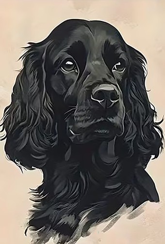 Cocker spaniel dog animal - spaniel,