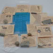 Educational Real Fossil Set