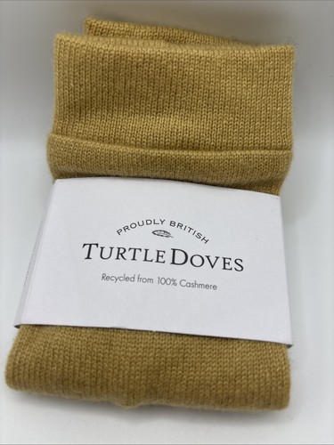 Genuine turtle doves studio - turtle,