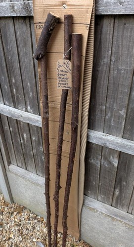 Blackthorn walking sticks - walking,