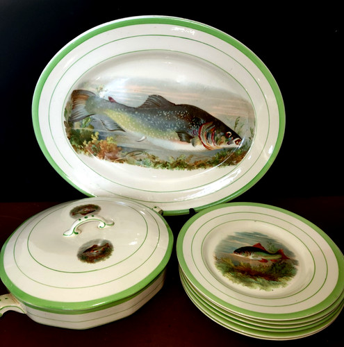 Beautiful shelton ivory - beautiful, fish