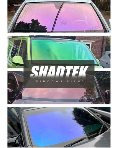 Chameleon tints films - chameleon,